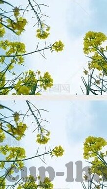 菲律宾足球队比分-菲律宾足球队比分，赛场风云中的坚韧与突破