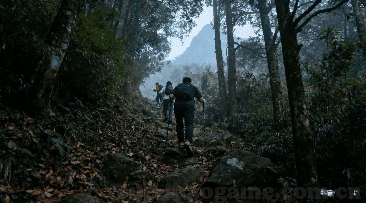 世界杯投注方式-世界杯投注方式，多元化选择及其影响