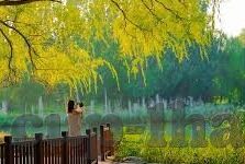 足球世界杯投注方式-足球世界杯投注方式，理解、选择与风险